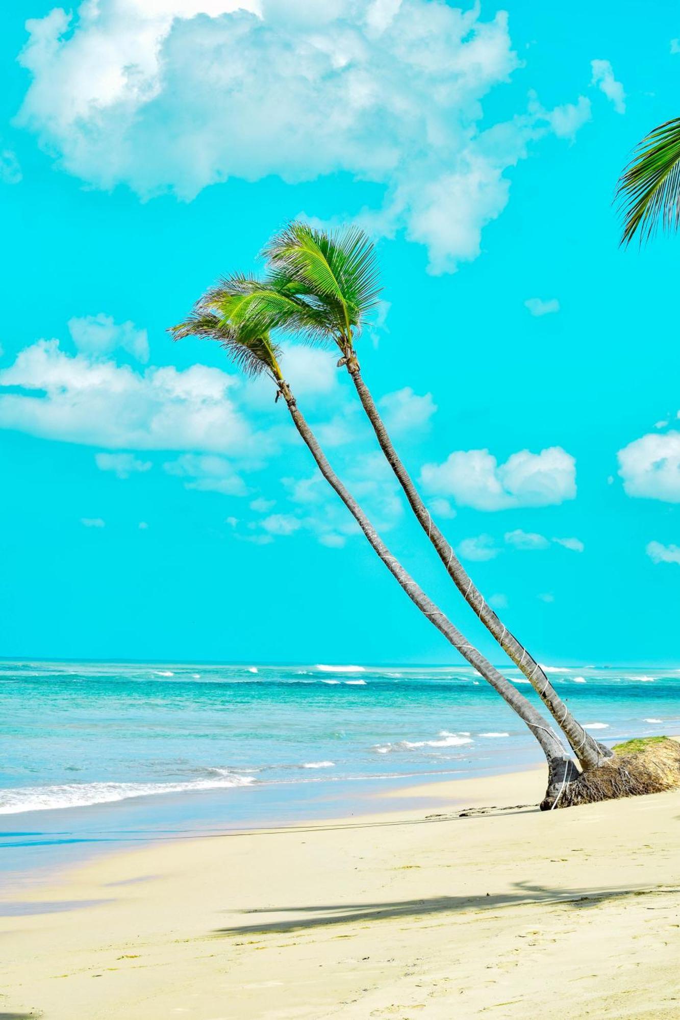 Playa Palmera Beach Resort 蓬塔卡纳 外观 照片